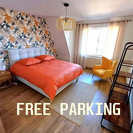 Confortable Spacieux Grand Rue - Garage Saverne Exterior foto